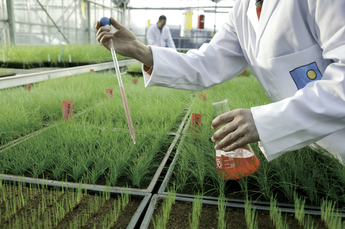 Research and Development3.png.png